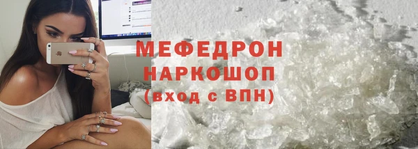 дмт Ельня