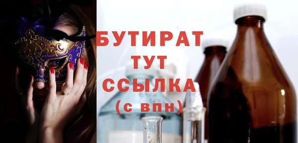 дмт Ельня