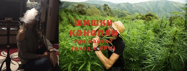 дмт Ельня