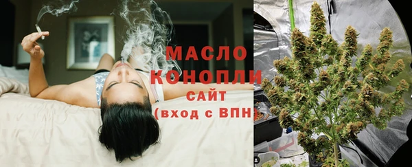 дмт Ельня