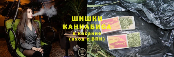 дмт Ельня