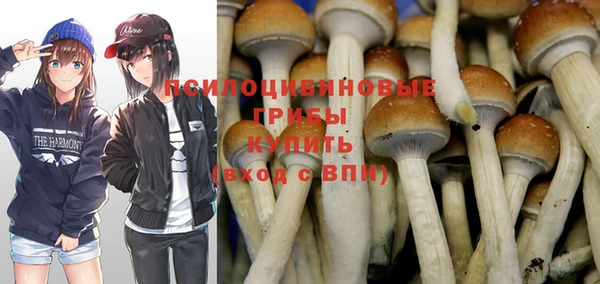 дмт Ельня
