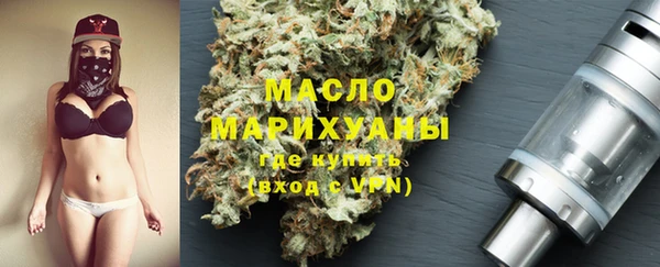 дмт Ельня