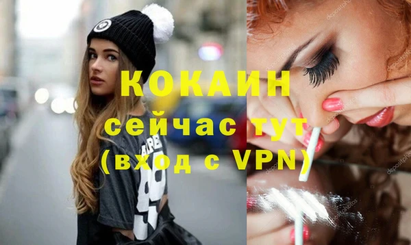 дмт Ельня