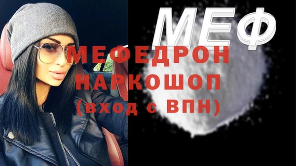 дмт Ельня