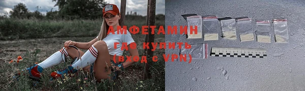 дмт Ельня