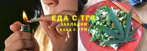 дмт Ельня