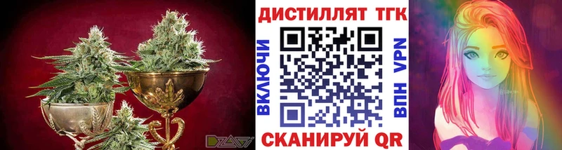 Купить закладки  Дубовка  ТГК концентрат 