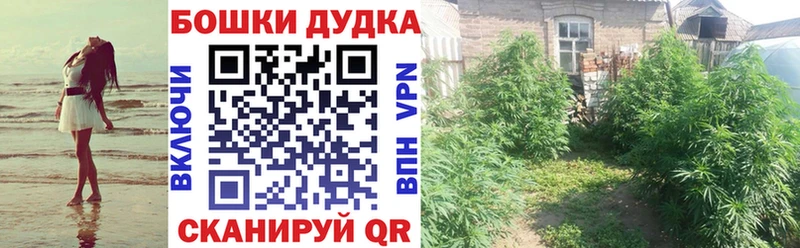 Купить где  Дубовка  МАРИХУАНА планчик 